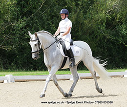 Horse and rider training