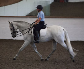 Dressage training